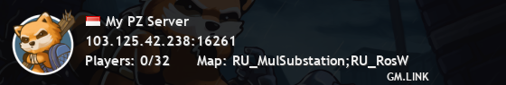 My PZ Server