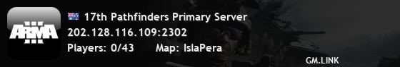 17th Pathfinders Primary Server