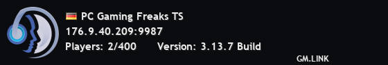 PC Gaming Freaks TS