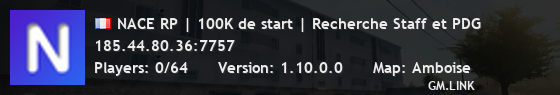 NACE RP | 100K de start | Recherche Staff et PDG