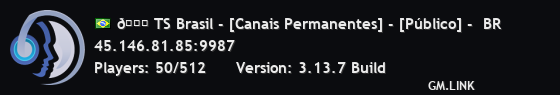 🌟 TS Brasil - [Canais Permanentes] - [Público] -  BR