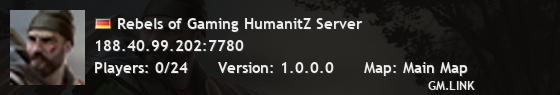 Rebels of Gaming HumanitZ Server