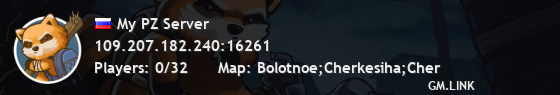 My PZ Server