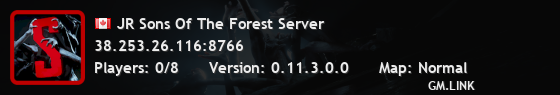 JR Sons Of The Forest Server