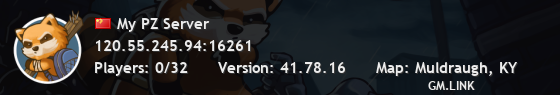 My PZ Server