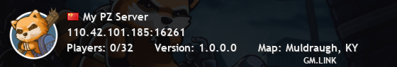 My PZ Server