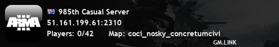 985th Casual Server