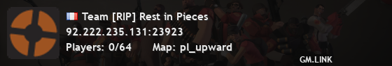 Team [RIP] Rest in Pieces