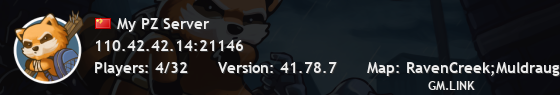 My PZ Server