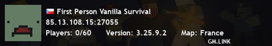 First Person Vanilla Survival