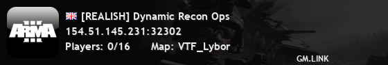[REALISH] Dynamic Recon Ops