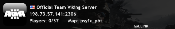 Official Team Viking Server