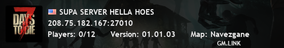 SUPA SERVER HELLA HOES