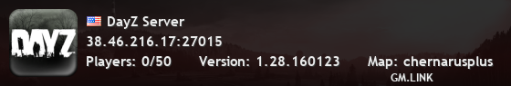 DayZ Server